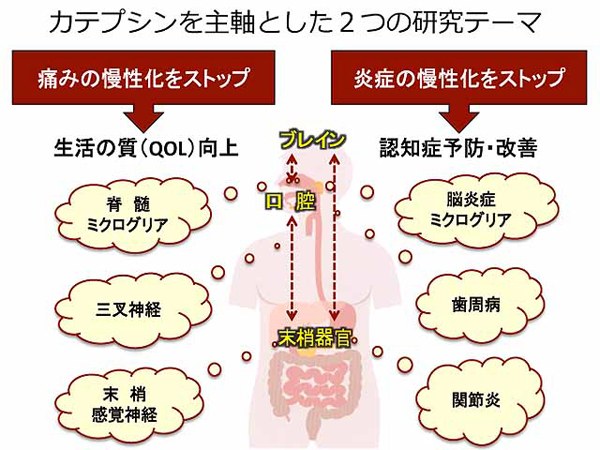 資料